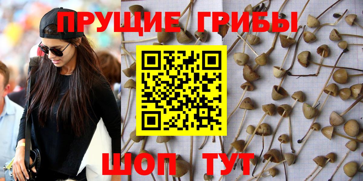 Псилоцибиновые грибы ЛСД Бор